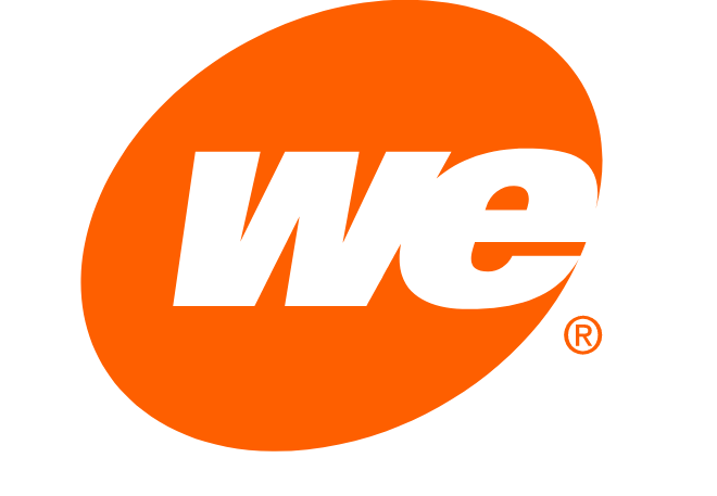 we energies logo